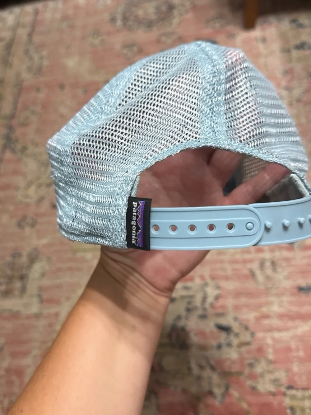Patagonia Trucker Hat